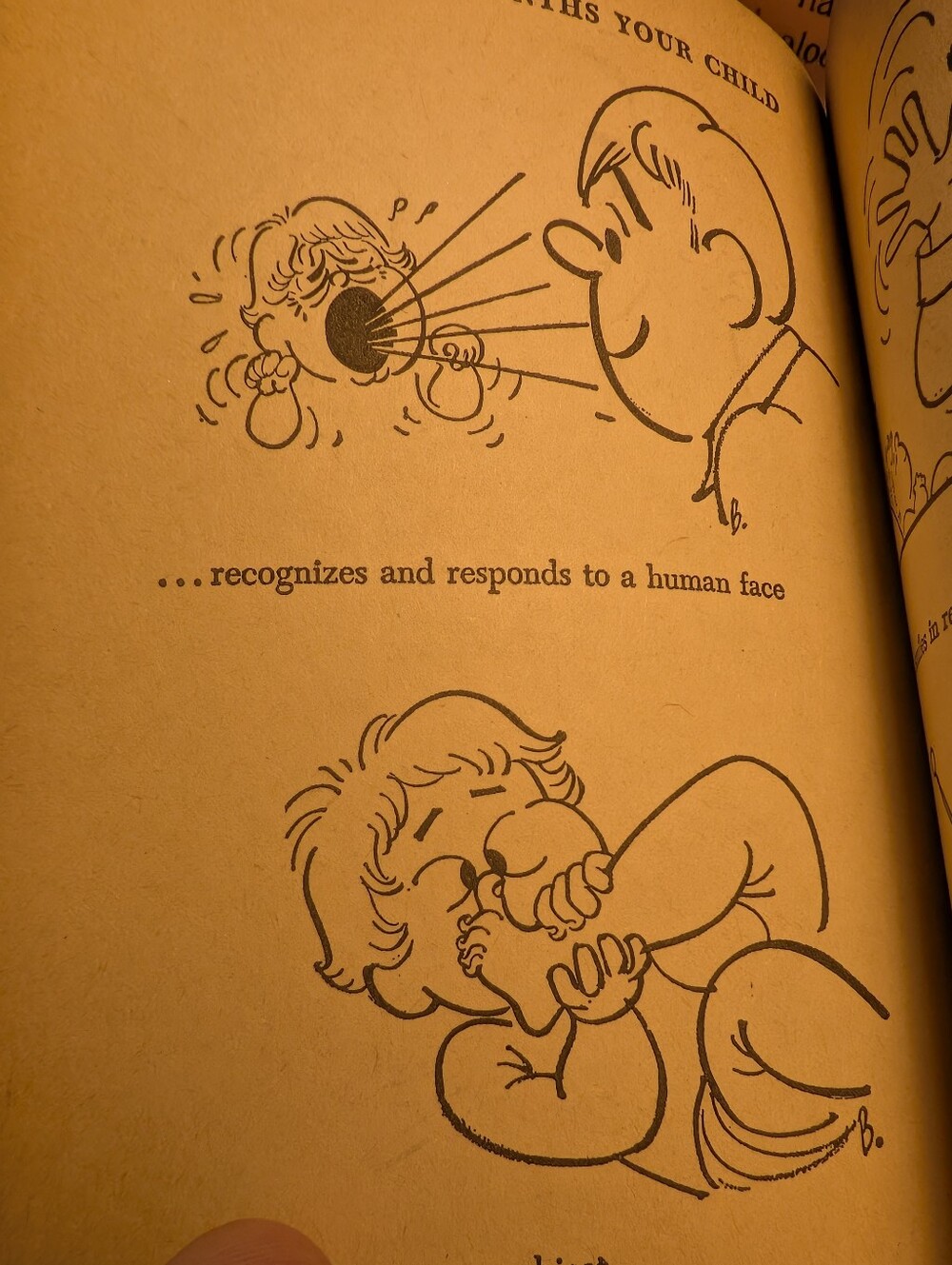 VTG Stan & Jan Berenstain Adult Humor Paperback Lot of 5 Dell Mid-Century Comic - Picture 12 of 16
